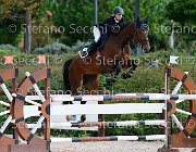 Albanesi Lady Date GioCav2013 S5 1132 : Albanesi Giorgia, Campionati Italiani Giovani Cavalli, Cattolica, Lady Date, ph Stefano Secchi ©